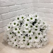 Букет белые Ромашки