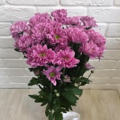 Букет розовые Ромашки