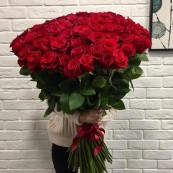 Букет 101 роза Фридом 80 см